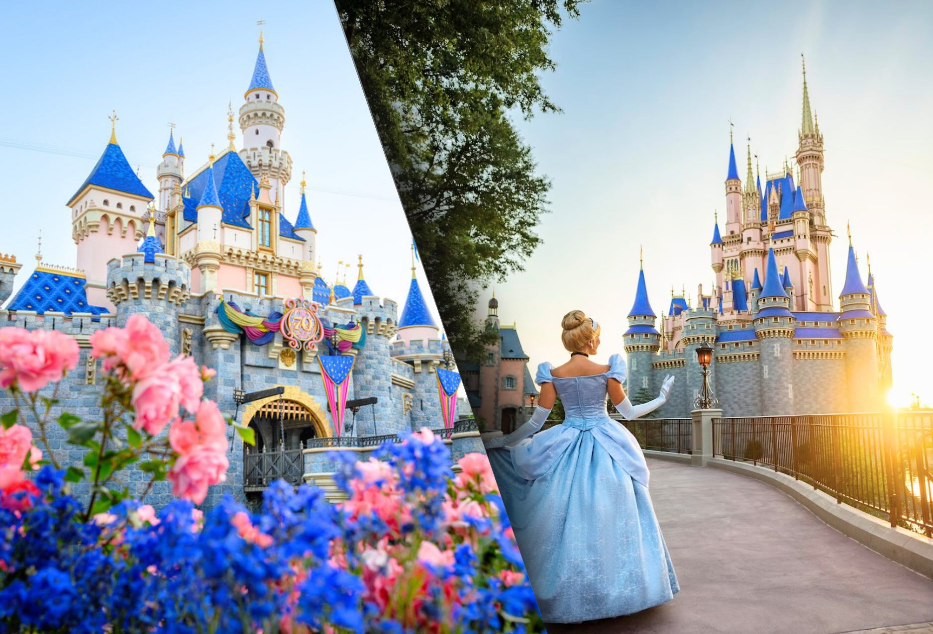 Cover photo of Animal Kingdom and California Adventure during a vacation to all the Disney parks in America