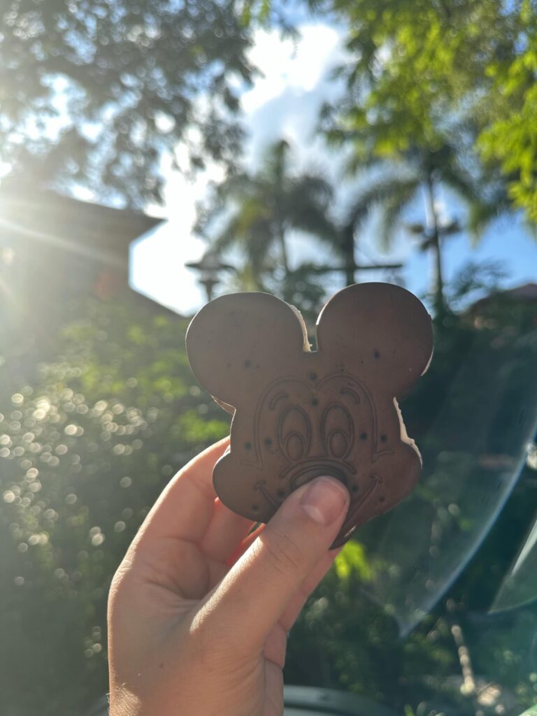 Walt Disney World, Mickey Bar tijdens een vakantie naar Orlando tijdens de Gratis Disney Dining Plan Actie