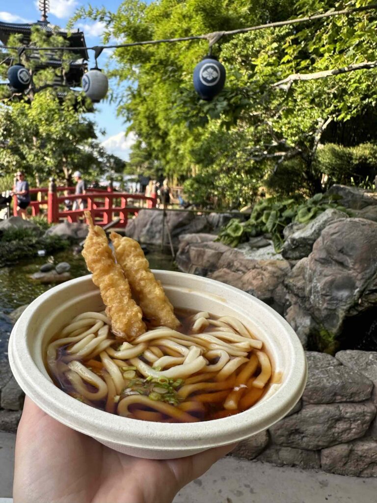 Noodles epcot DDP